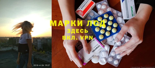 ГАЛЛЮЦИНОГЕННЫЕ ГРИБЫ Белоозёрский
