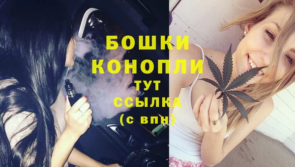 ГАЛЛЮЦИНОГЕННЫЕ ГРИБЫ Белоозёрский