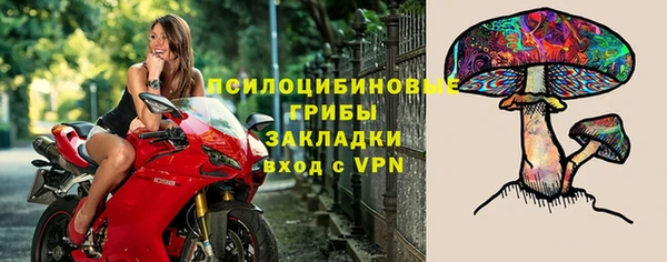 марки nbome Белокуриха
