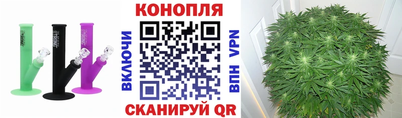 Шишки марихуана VHQ Купить где Болотное